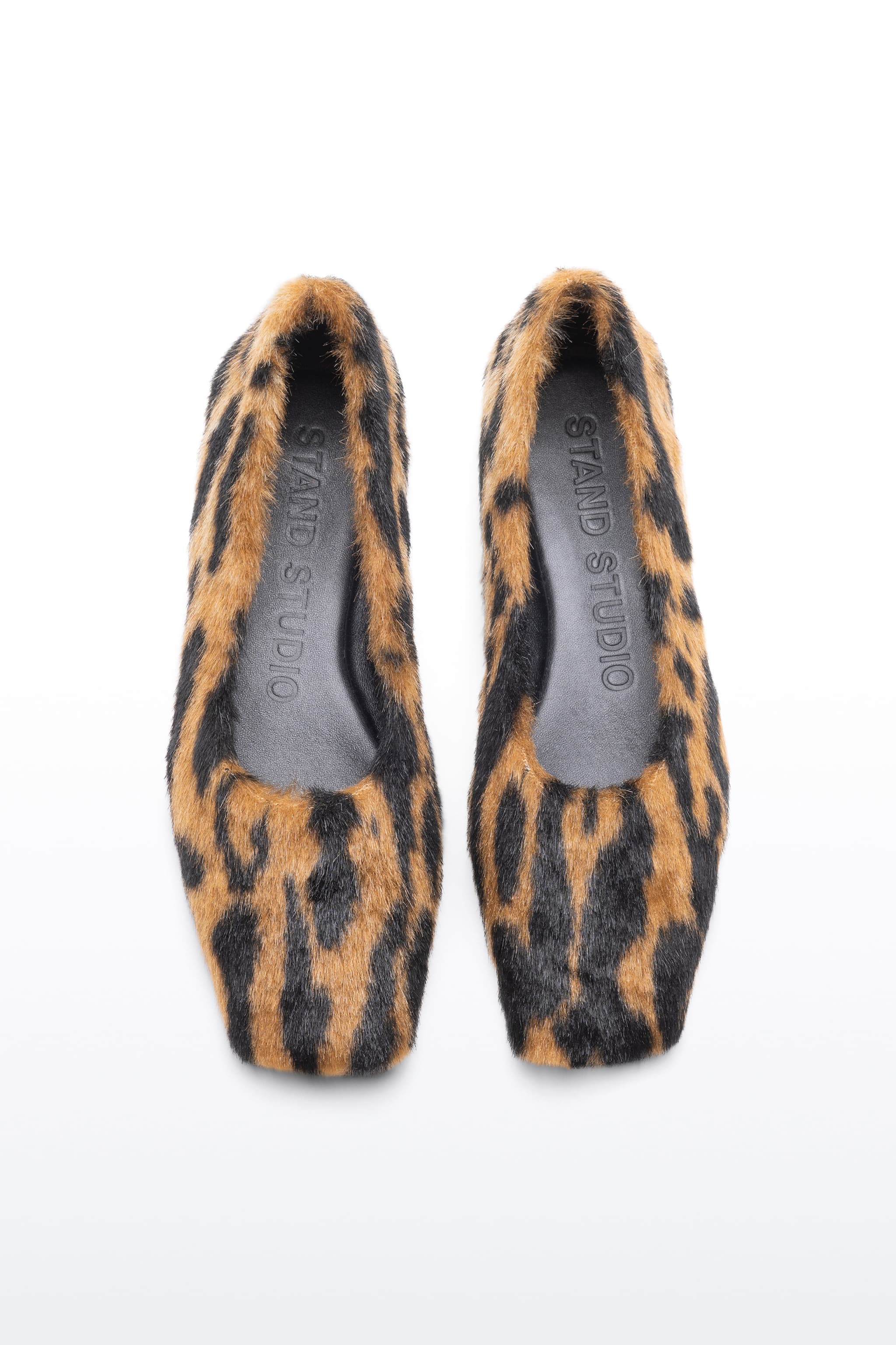 15201_b25047914e-62245-9399-12100-2-6-original